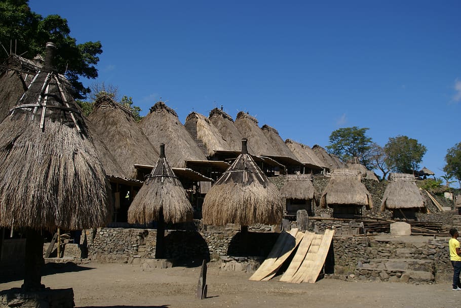 Asia, Indonesia, Flores, Village, authentic, house, thatched roof, outdoors, sky, day
