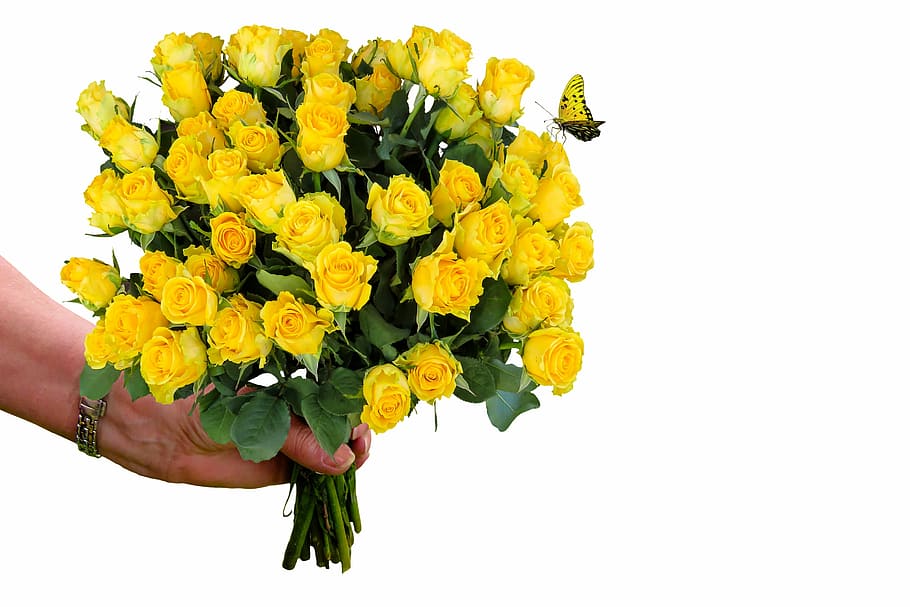 bouquet, yellow, rose, flower, flowers, roses, thank you, thank you very much, birthday, greeting card
