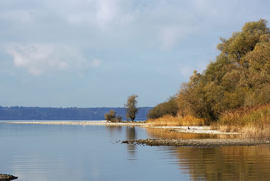 Bank, Trees, Reed, Lake, Water, autumn, autumn colours, mood, landscape, chiemsee