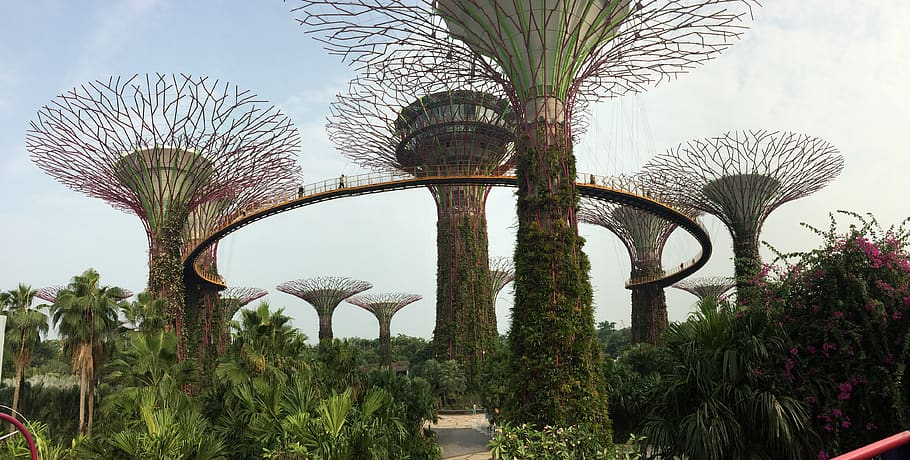 singapur, jardines junto a la bahía, marina bay, supertree, supertree grove, jardín, asia, sudeste de asia, hito de singapur, jardín botánico