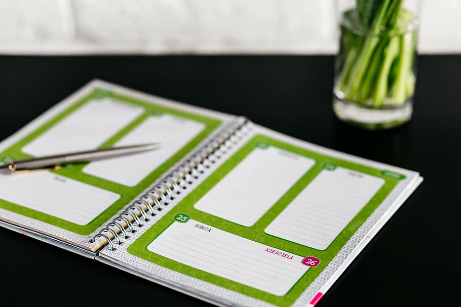 fotografia de close-up, caderno, verde, vaso, interior, exibir, negócios, escritório, trabalho, mesa