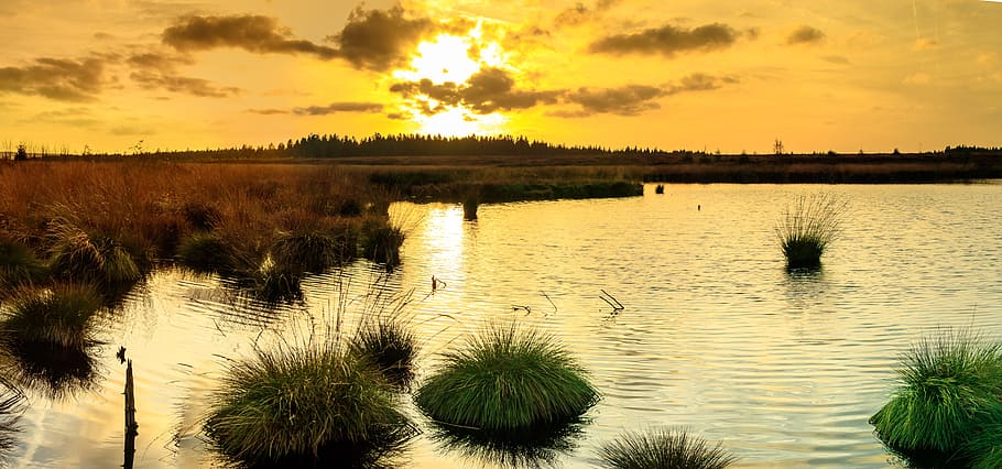 日没, 湿原, ヴェーン, ベルギー, アイフェル, 気分, 自然保護区, 沼地, abendstimmung, 風景
