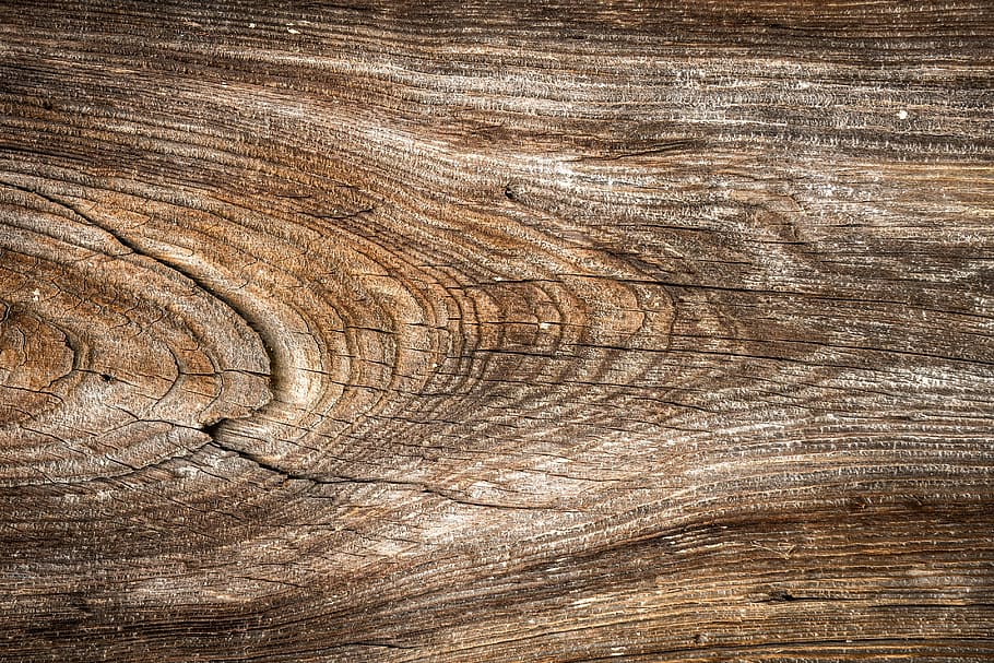 madera, textura, salvaje, madera dura, interior, pared, patrón, fondo, naturaleza, curva