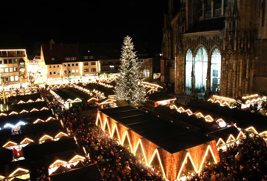 lighted, city square, christmas tree, front, cathedral, nighttime, christmas market, ulm, ulm cathedral, night