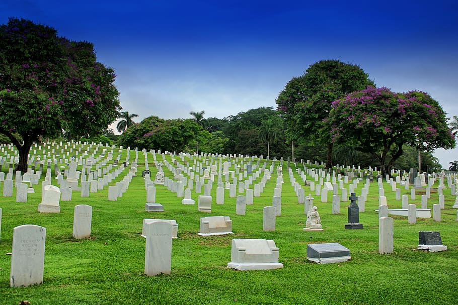 Panama, Cemetery, Graves, Headstones, trees, nature, outside, tombstone, grass, memorial