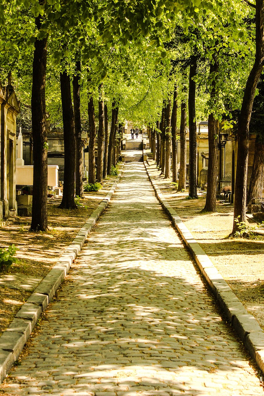 france, paris, cemetery, sunlight, cimetiere du pere lachaise, grave, summer, trees, away, path