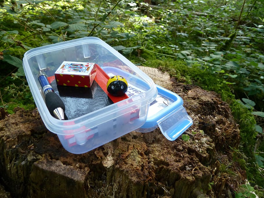 plastic container, wood stamp, geocache, geocaching, cache, small, logbook, hiding place, search, to find
