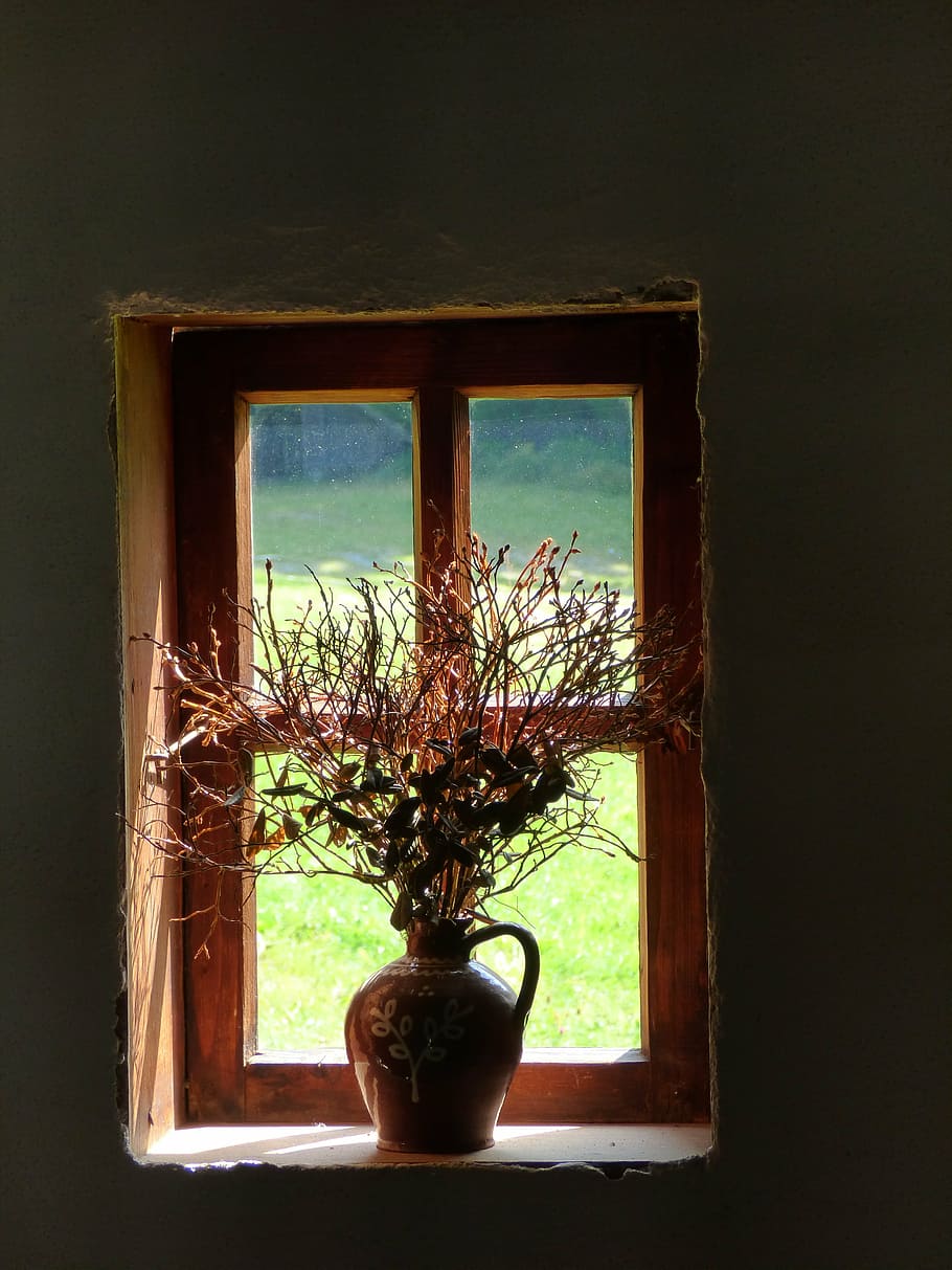 brown, ceramic, bottle, plants, inside, placed, closed, window, old, still life
