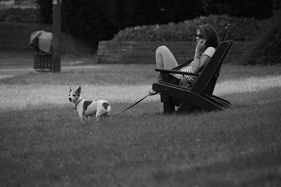 greyscale photo, sitting, adirondack, holding, leash, pet dog, using, phone, Woman, Rest