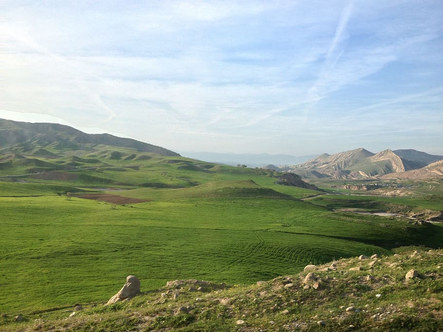 Kurdistan, Nature, Green, landscape, scenics, animal themes, field, one animal, scenics - nature, mountain