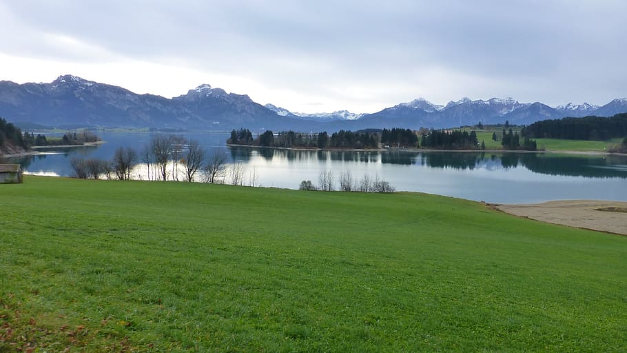 verde, campo de hierba, cuerpo, agua, azul, cielo, durante el día, allgäu, lago forggensee, otoño
