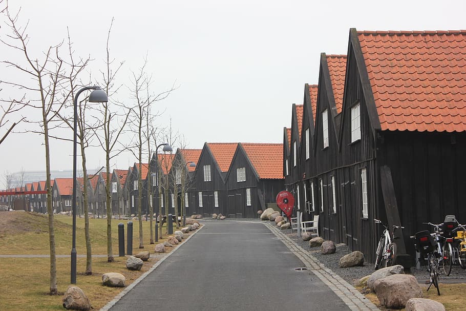 kanonbådehusene, 목재, 타일, 점토, 집, 보트 하우스, holmen, 코펜하겐, 덴마크, 건축물