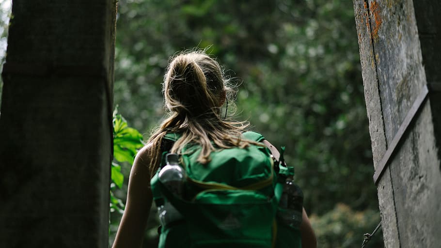 woman, wearing, green, backpack, tree, people, back pack, travel, adventure, wood