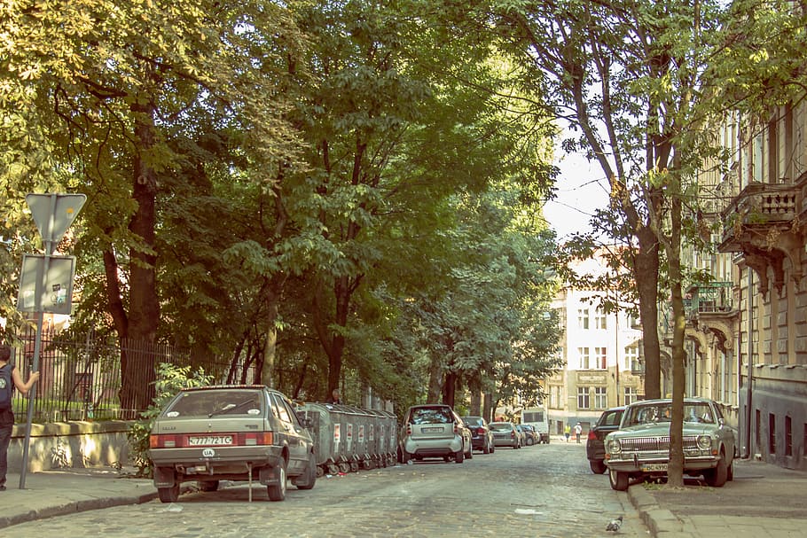 Surtido, vehículos, camino de la carretera de asfalto, Ucrania, calle, hermoso, viaje, edificio, urbano, pueblo