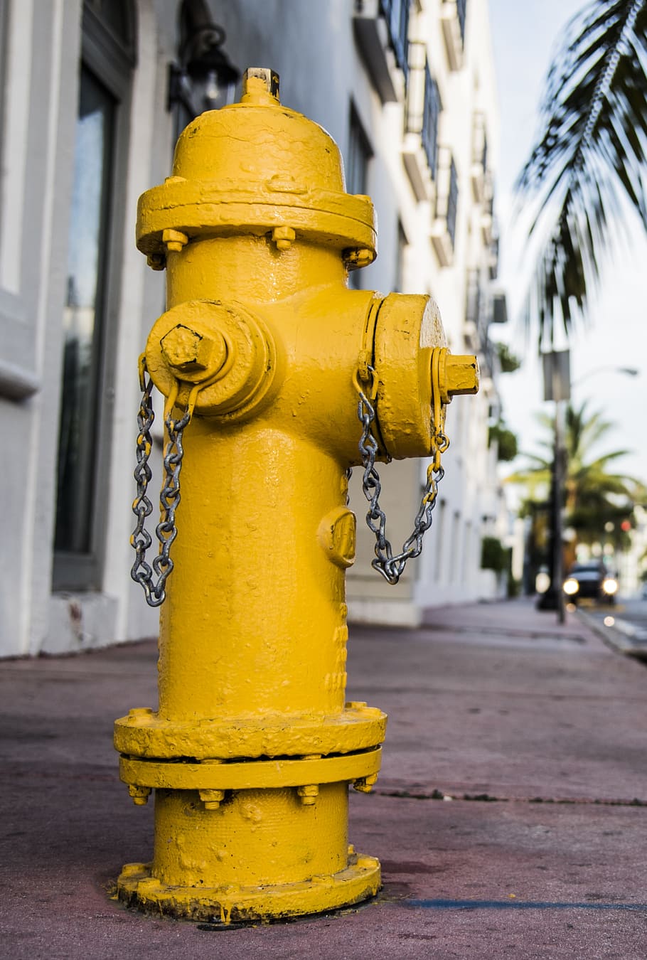 fire, water, fire hydrant, danger, flames, hose, turn out, braces water, miami, street