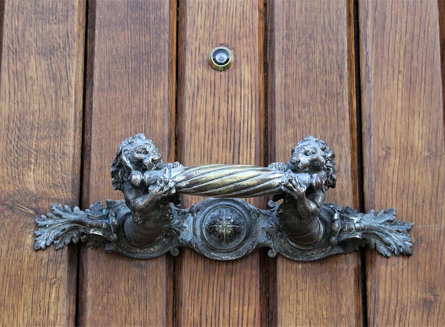 wood, door, wooden, entrance, lock, doorknob, handle, decoration, brass, feature