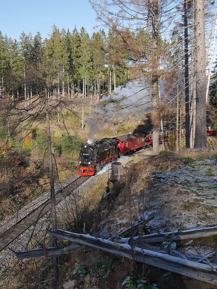 hsb, schmalspurbahn harzer, ferrovia brocken, resina, historicamente, ferrovia a vapor, locomotiva a vapor, trilho, br99, bitola estreita