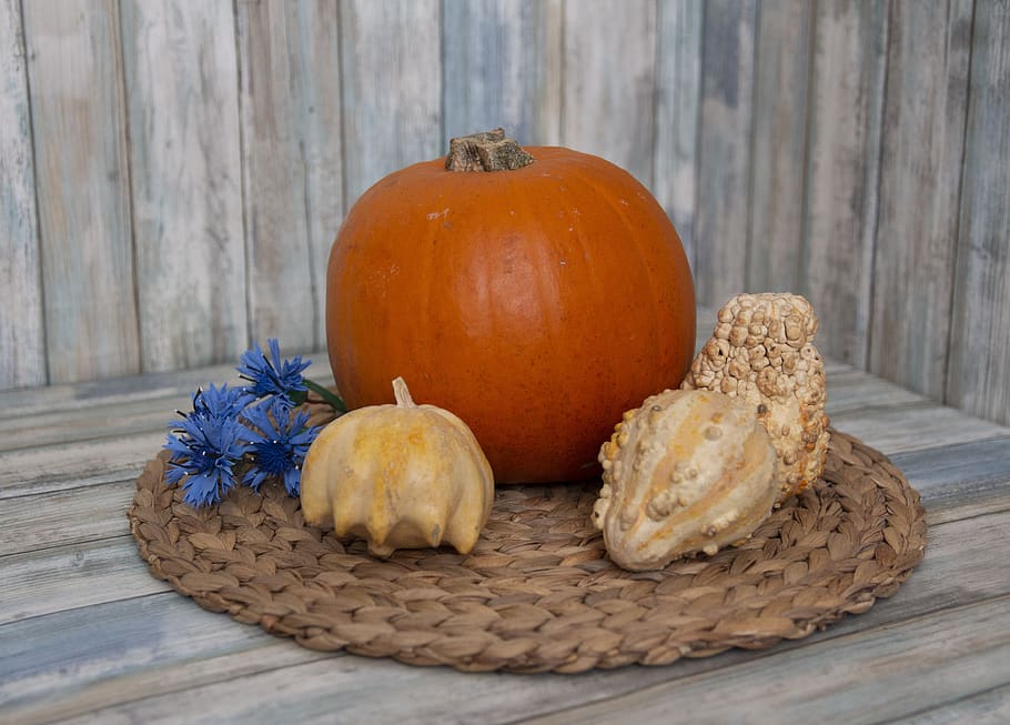 pumpkins, still life, autumn, pumpkin, orange, thanksgiving, food, vegetable, fall, decoration