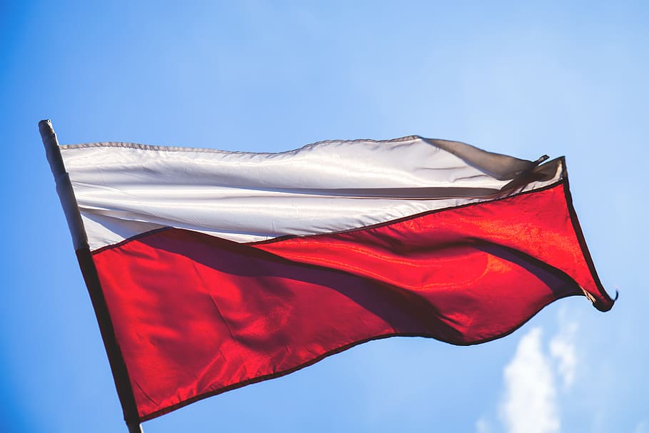赤, 白, 旗, 国, ポーランド, ポーランド語, 空, 手を振って, 風, 風が強い