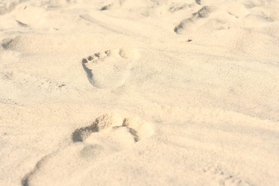 footprints on sand, footprints, sand, beach, nature, winter, day, snow, backgrounds, outdoors