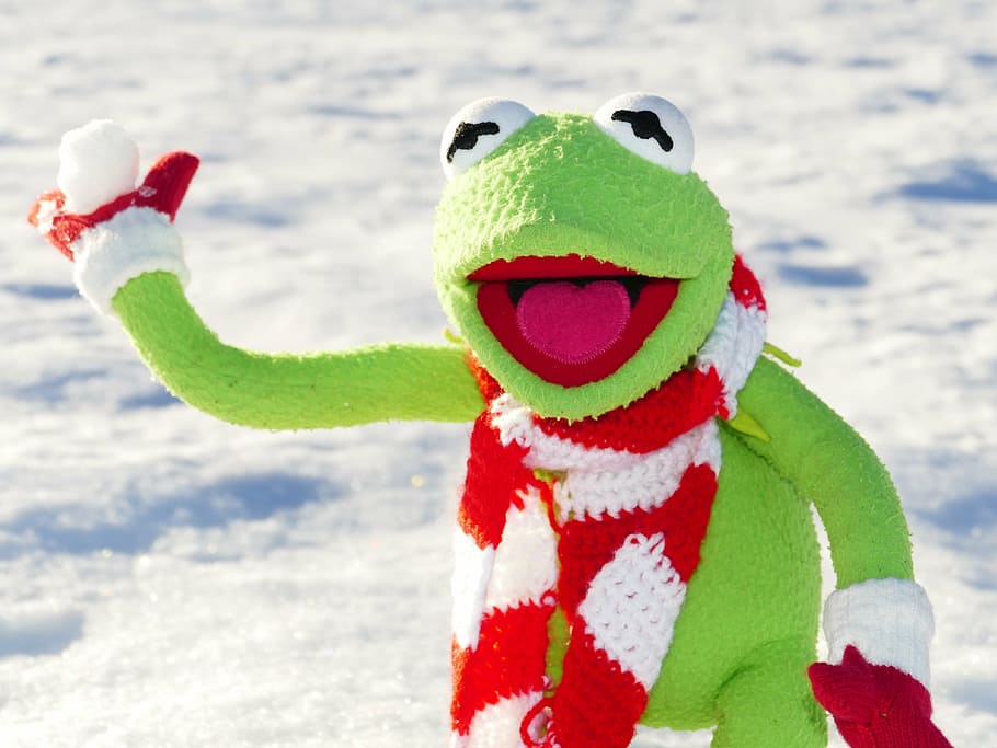 kermit, frog puppy, frog, snow ball, throw, snow, winter, cold, fun, figure