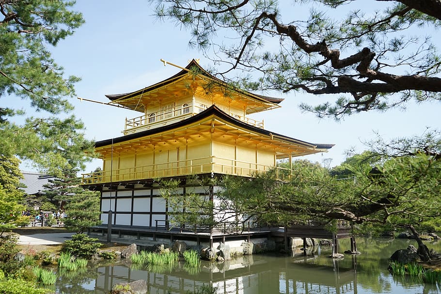 temple, golden, pavilion, Temple Of The Golden Pavilion, Japan, ancient architecture, tree, built structure, architecture, day