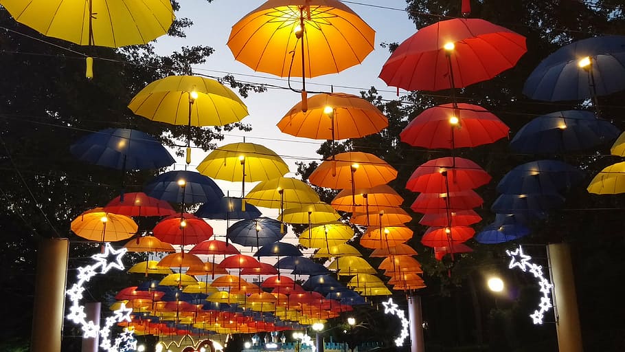 paraguas de colores variados, paraguas, noche, cielo, parque, cielo nocturno, vista nocturna, lámpara, creativo, colorido