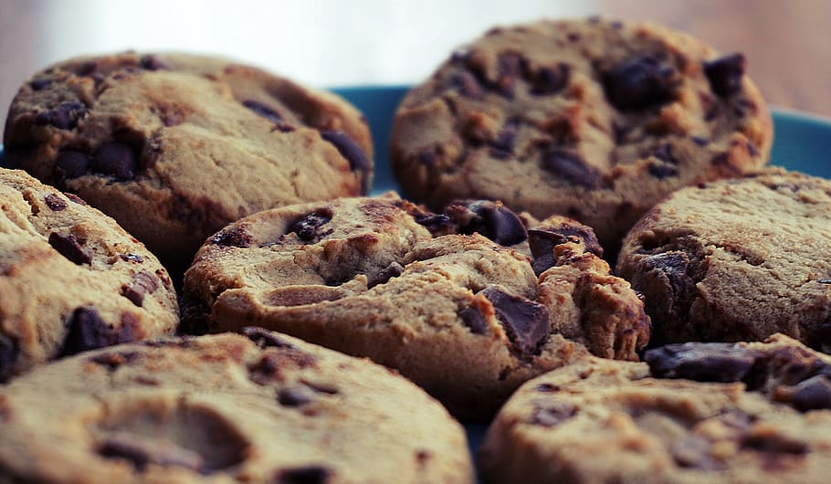 cookies, chocolate chip cookies, chocolate, food, baking, tray, bake, food and drink, baked, freshness