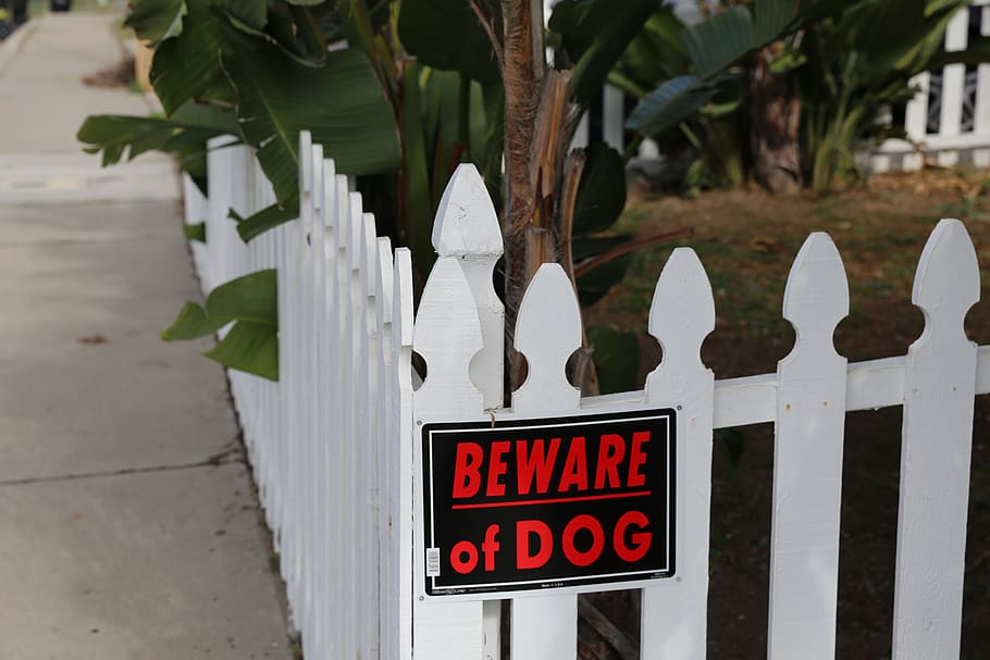outdoors, fence, wood, house, home, warning, sign, beware of dog, residential, text