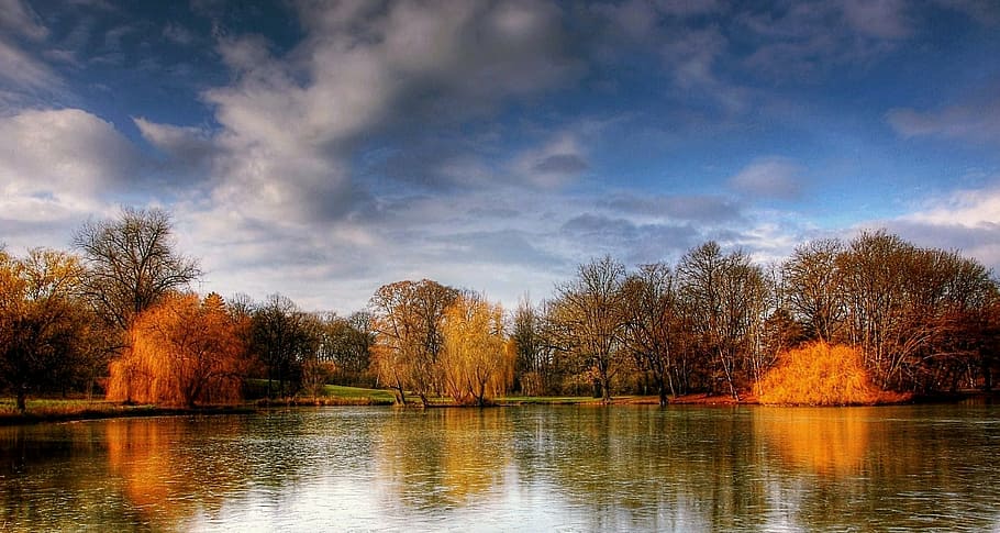 landscape, trees, body, water, daytime, braunschweig, park, germany, nature, lower saxony
