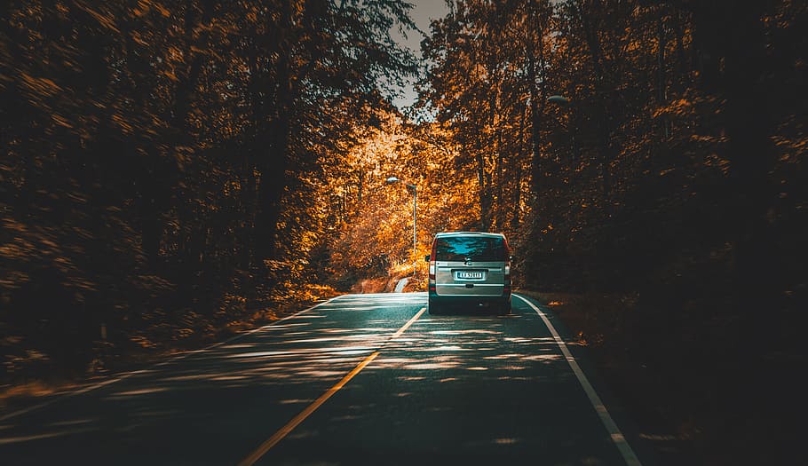 road, path, car, vehicle, trees, plant, nature, forest, travel, trip