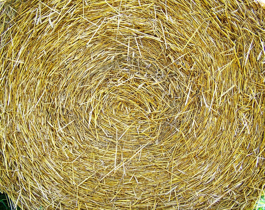 straw bale, works, compressed grain drying, full frame, backgrounds, hay, high angle view, nature, close-up, plant