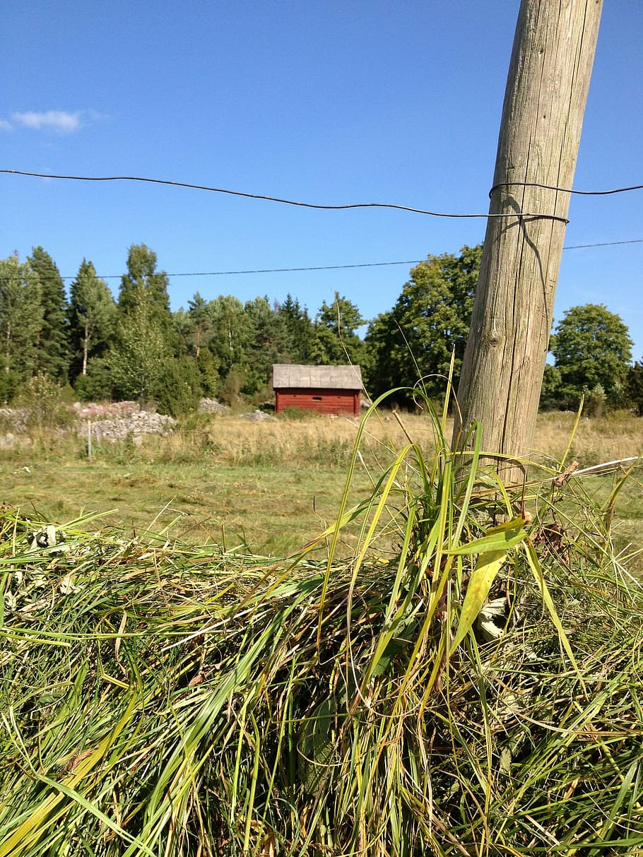 Hassjning Drying Rack Hay Agriculture Culture Red Cottage