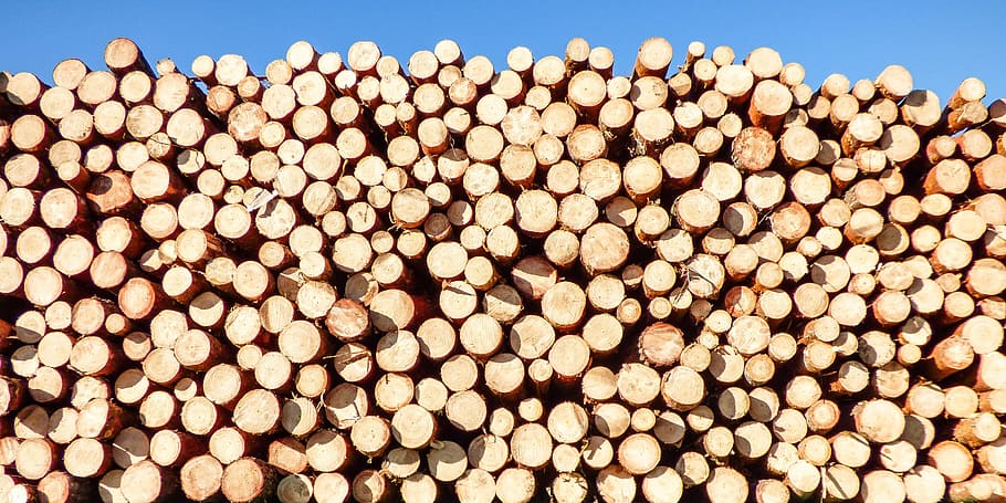 pile, brown, wood logs, daytime, background, woodpile, wood, logs, cut, nature