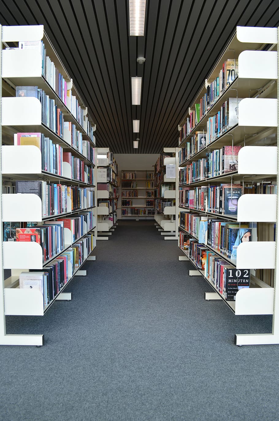 books, library, read, bookmarks, bookshelf, symmetry, education, shelf, book, publication