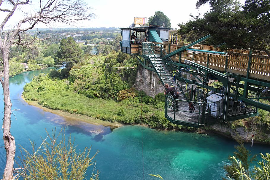 taupo, new zealand, north island, bungee jumping, landscape, green, nature, water, forest, travel