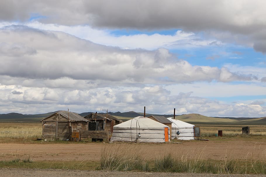 mongolia, yurt, steppe, live, landscape, nomads, tent, residential structure, nomadic life, nature