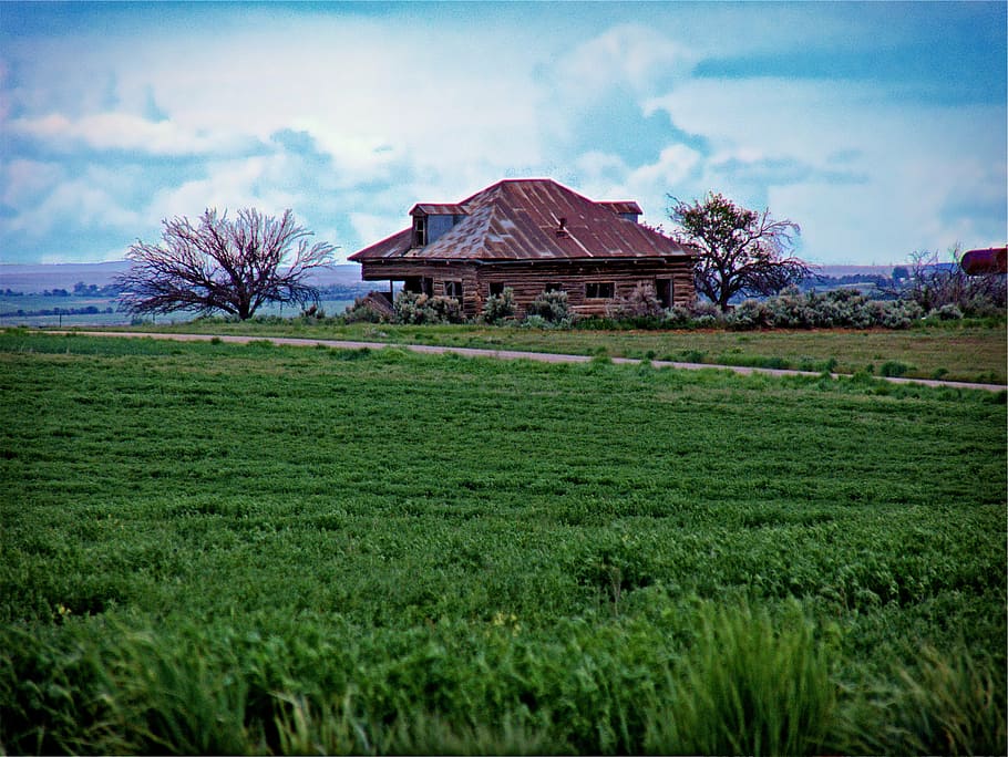 brown, wooden, house, front, green, grass field, surrounded, grass, field, rural