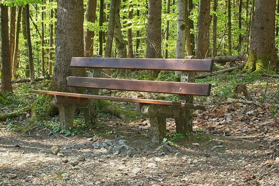 bench, resting place, forest, bank, idyll, rest, seat, recovery, nature, recover