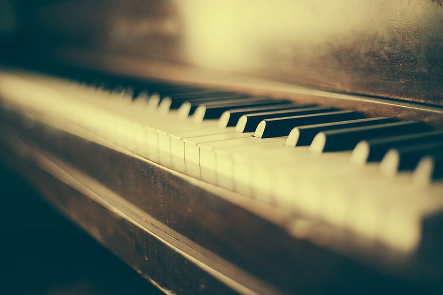 shallow, focus photo, black, white, piano, grand piano, music, classical music, classical, piano keys