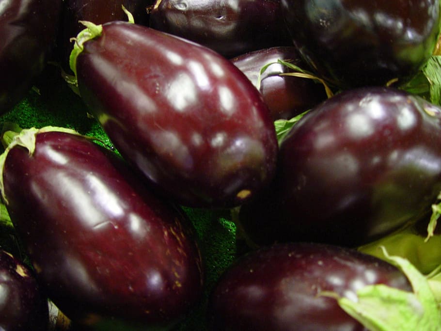 purple, green, eggplants, eggplant, aubergine, solanum melongena, raw, fresh, brinjal, melongene