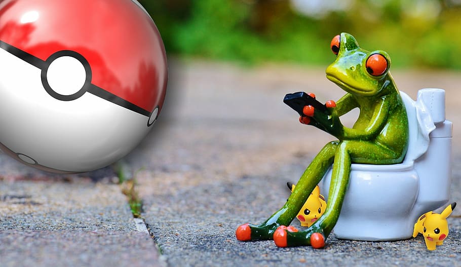 red-eyed tree frog, toilet, using, smartphone figurine, gray, concrete, floor, pokemon, pokemon go, play