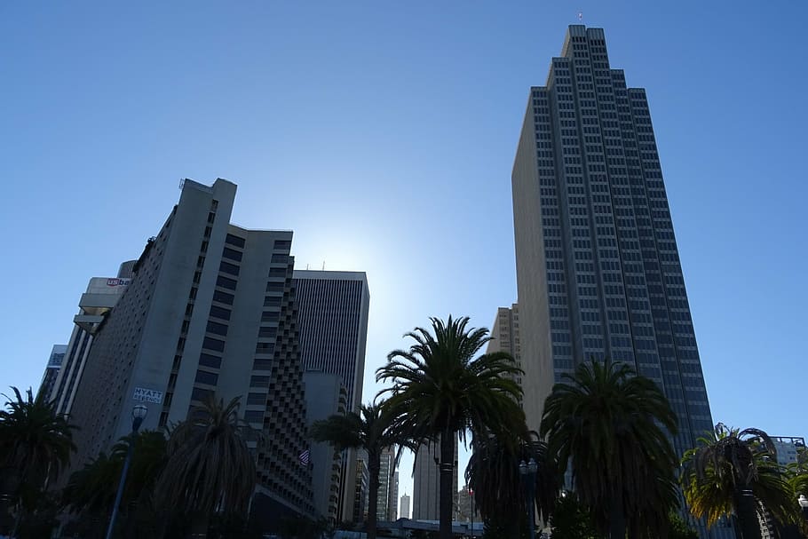 超高層ビル, スカイライン, 都市の景観, 建物, 建築, 都市, サンフランシスコ, アメリカ, 構築された構造, 建物の外観