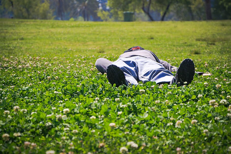 sleeping, person, male, holiday, vacation, grass, outdoors, lying Down, nature, people