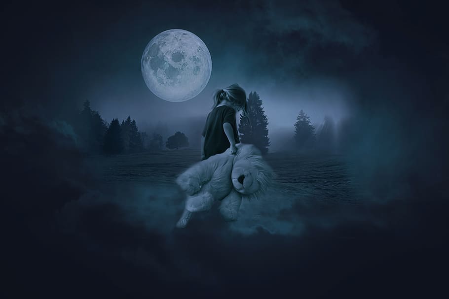 child, girl, teddy bear, fantasy, dark, gothic, loneliness, sadness, full moon, mist