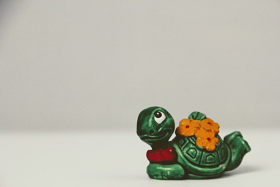 Turtle, Toys, Egg, überraschungseifigur, baby, animal, cultures, toy, decoration, green Color