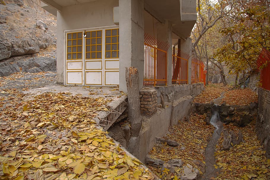 fall, autumn, nature, colorful, qom province, iran nature, colors, mostafa meraji, wallpaper, high quality