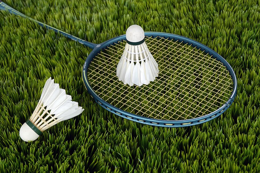 blue, badminton racket, white, shuttle cocks, badminton, shuttle, sport, bat, racket, leisure