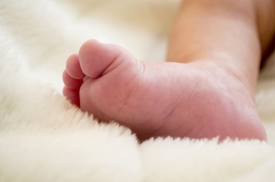 bebê, pés, recém-nascido, criança, pequeno, nascimento, humano, fofo, jovem, gravidez