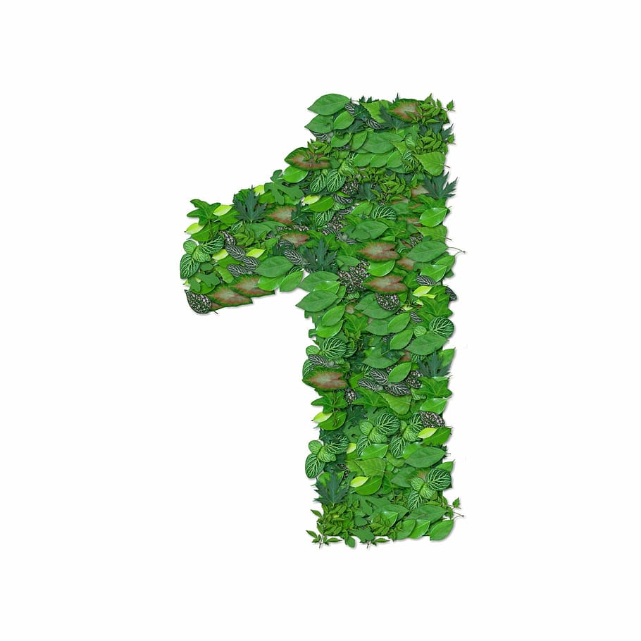 made, leaves, Number 1, 1, digit, first, number, public domain, alphabet, nature